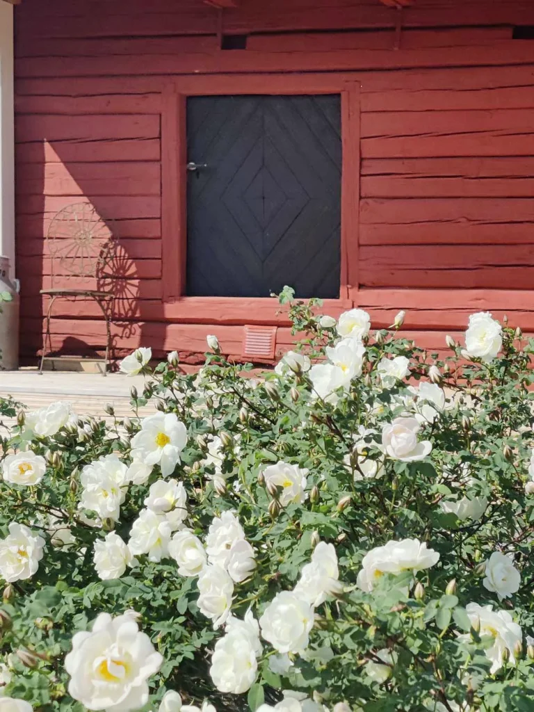 Hämeenniemen B&B aittamajoitus