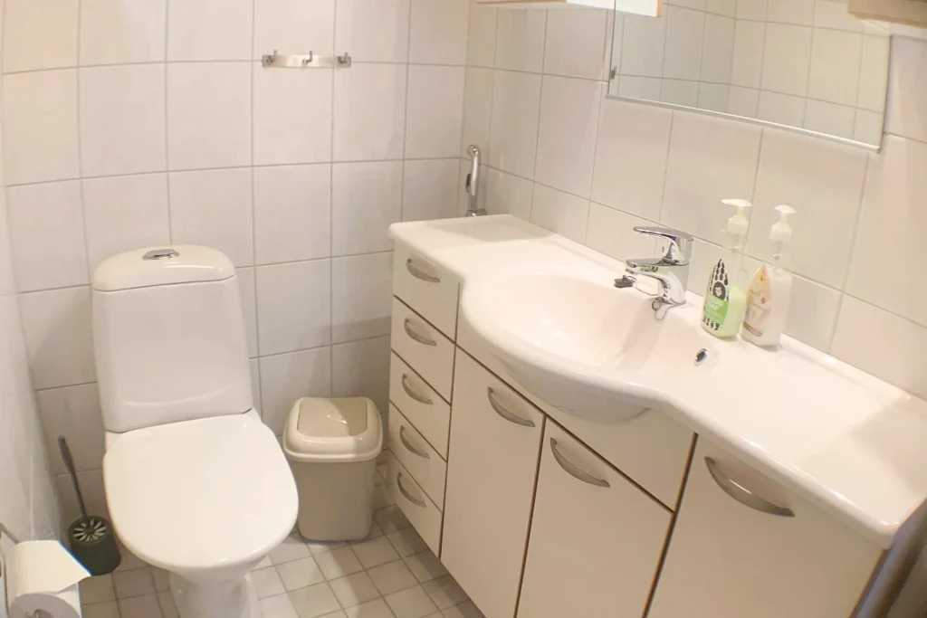 Hämeenniemen huvila Ferdinand kylpyhuone