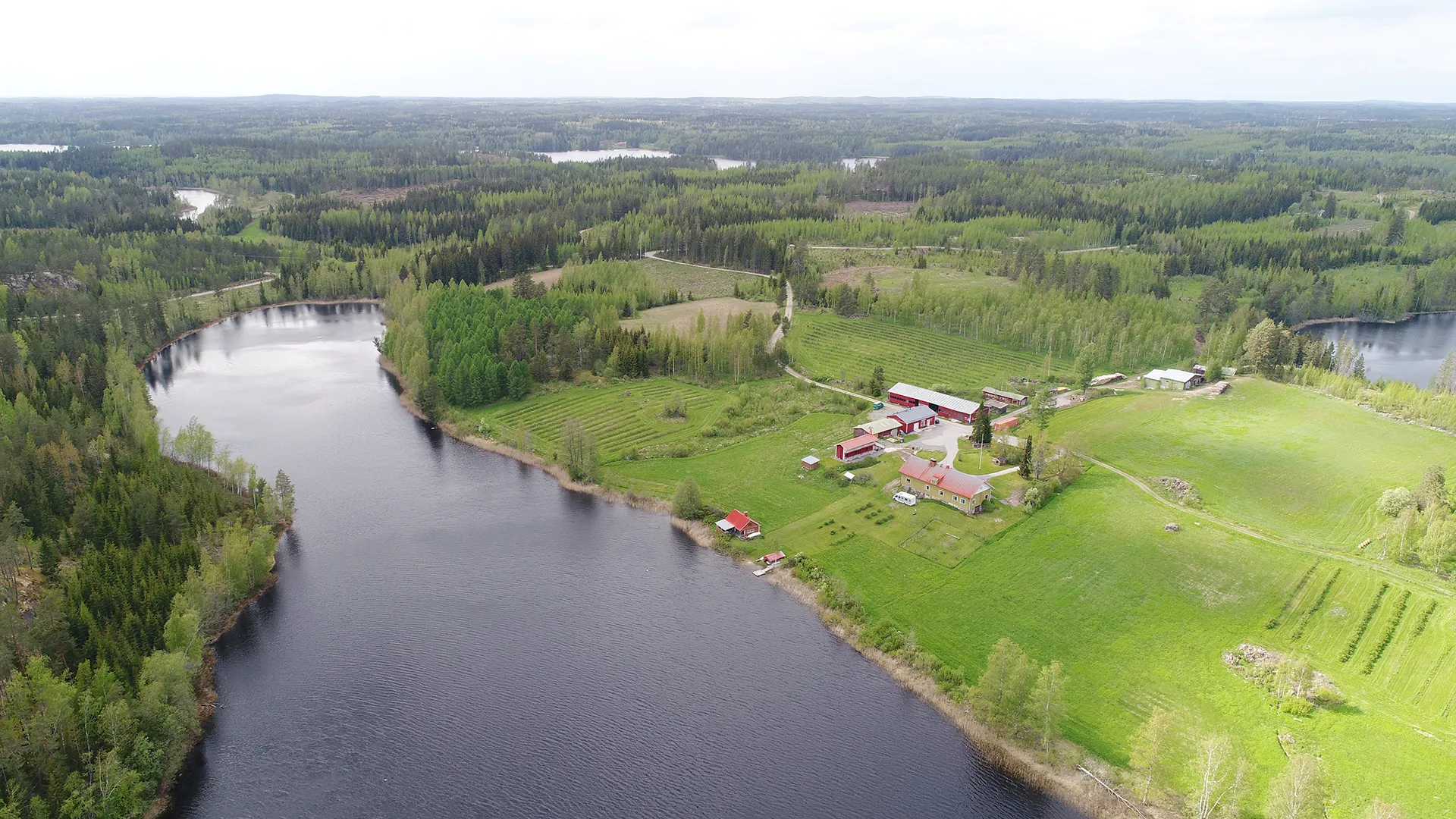 Ilmakuva Hämeenniemen juhlatilasta