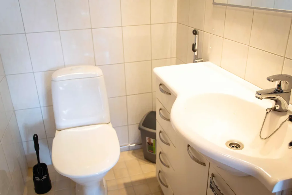 Hämeenniemen huvila Karl kylpyhuone