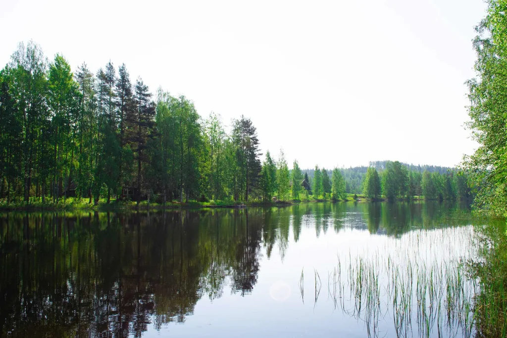 Maisema Hämeenniemen Kuorekosken rantasaunalta