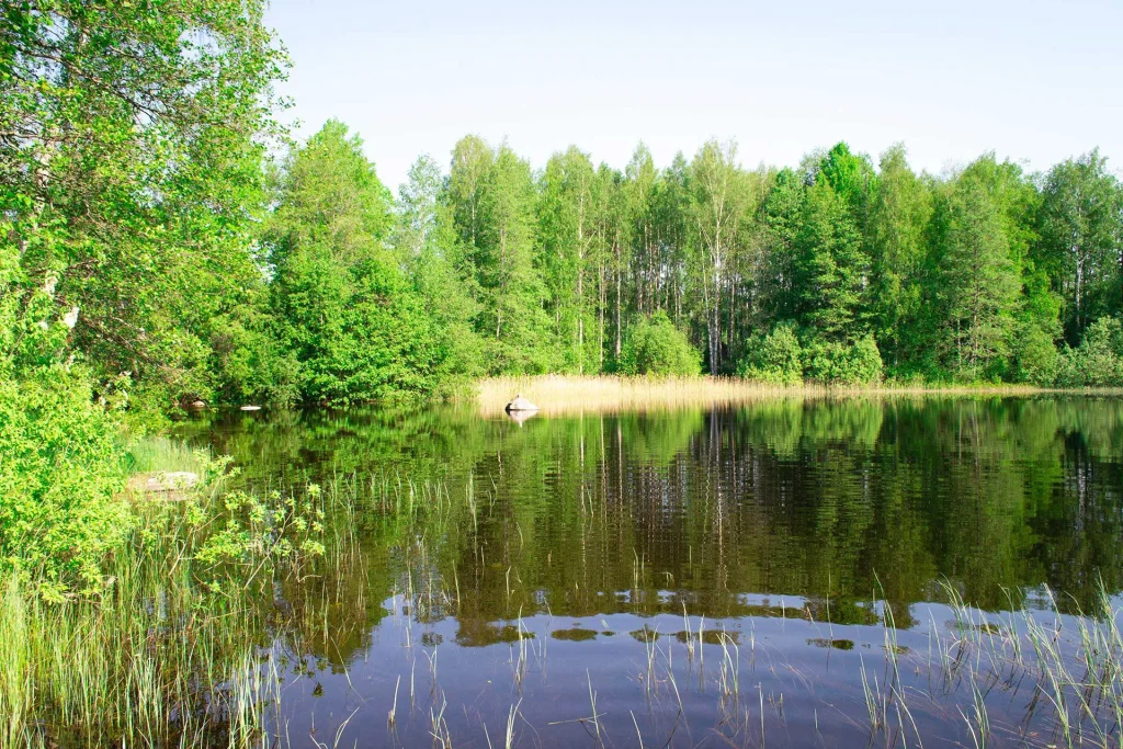 Maisema Hämeenniemen Kuorekosken rantasaunalta