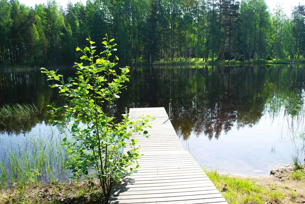 Hämeenniemen Kuorekosken rantasaunan laituri